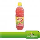 Concentrado de Goiaba - Guave Fruchtsaftkonzentrat - Dafruta - 500ml